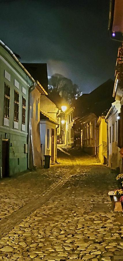 Pensiunea Lelila Inn Sighisoara Ngoại thất bức ảnh