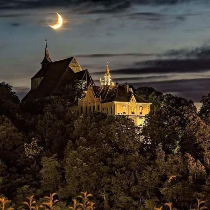 Pensiunea Lelila Inn Sighisoara Ngoại thất bức ảnh