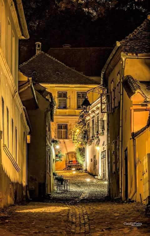 Pensiunea Lelila Inn Sighisoara Ngoại thất bức ảnh