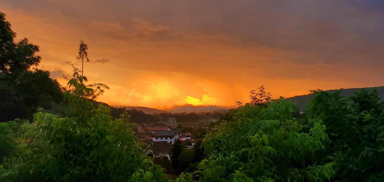 Pensiunea Lelila Inn Sighisoara Ngoại thất bức ảnh
