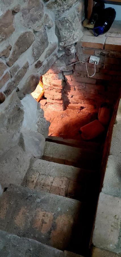 Pensiunea Lelila Inn Sighisoara Ngoại thất bức ảnh