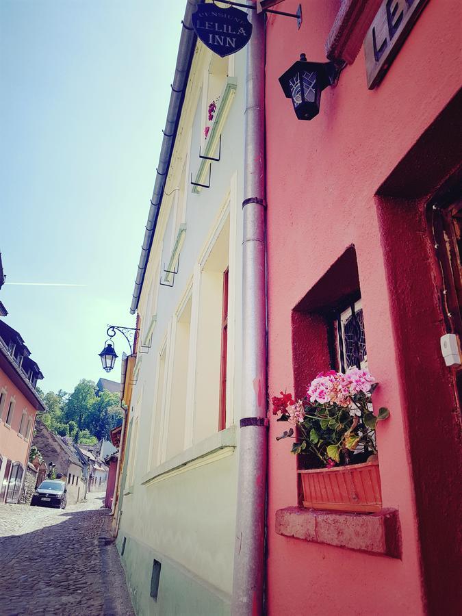 Pensiunea Lelila Inn Sighisoara Ngoại thất bức ảnh