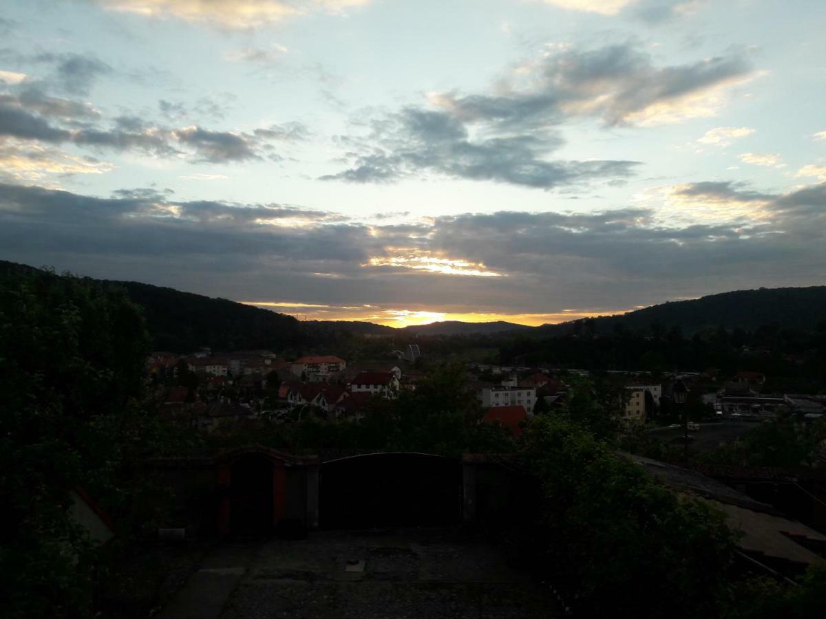 Pensiunea Lelila Inn Sighisoara Ngoại thất bức ảnh